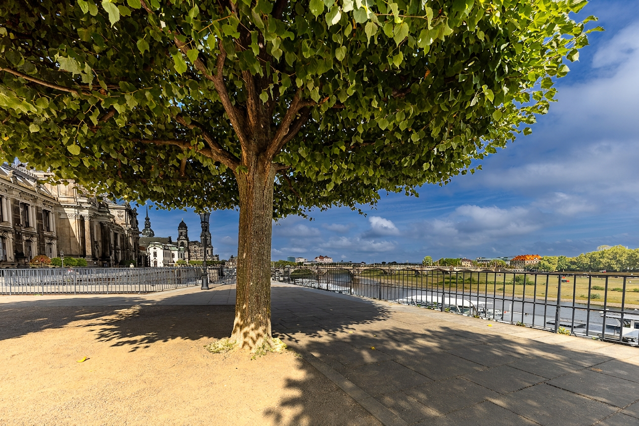Dresden (1 von 1)-5